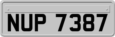 NUP7387