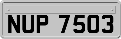 NUP7503