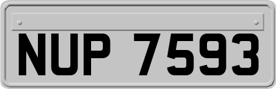NUP7593