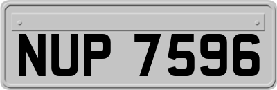 NUP7596