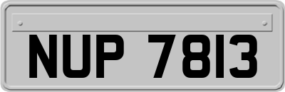 NUP7813