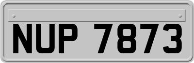 NUP7873