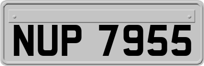 NUP7955