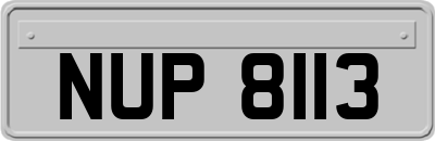 NUP8113