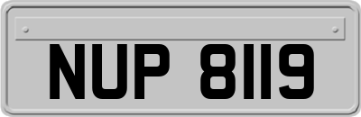 NUP8119