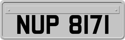 NUP8171