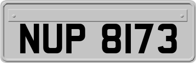 NUP8173