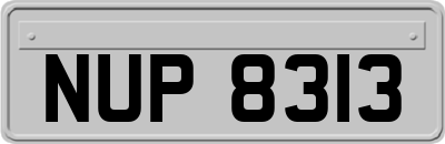 NUP8313