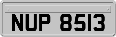 NUP8513