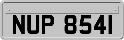 NUP8541