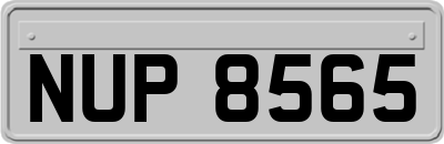 NUP8565