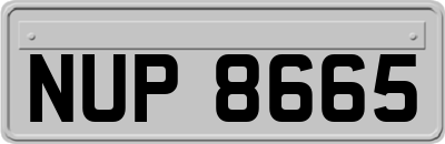 NUP8665