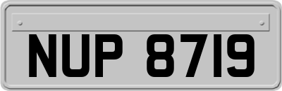 NUP8719