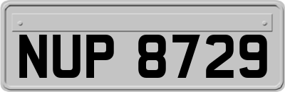 NUP8729