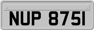 NUP8751