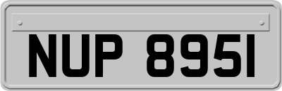 NUP8951