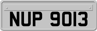 NUP9013