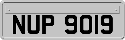 NUP9019
