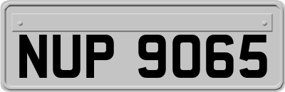 NUP9065
