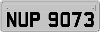 NUP9073