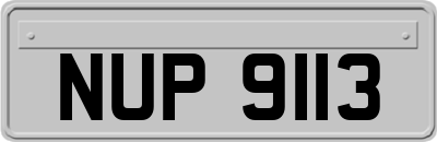 NUP9113