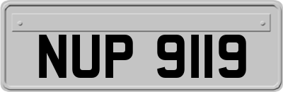 NUP9119