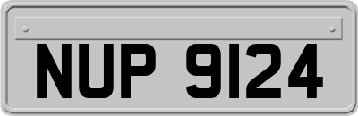NUP9124