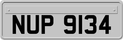 NUP9134