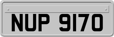 NUP9170