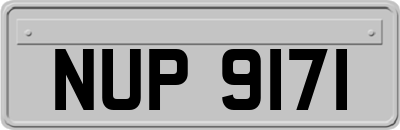 NUP9171