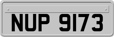 NUP9173
