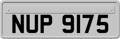 NUP9175