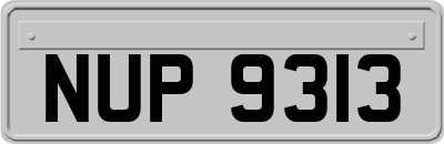 NUP9313