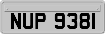 NUP9381