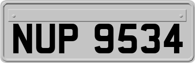 NUP9534