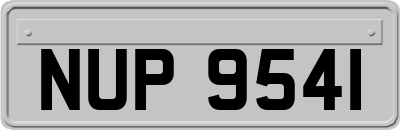 NUP9541