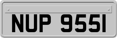 NUP9551