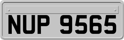 NUP9565