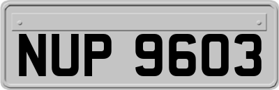 NUP9603