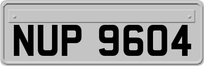 NUP9604