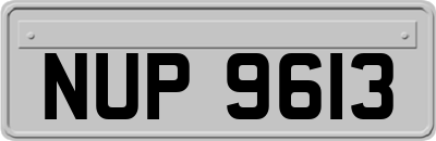 NUP9613