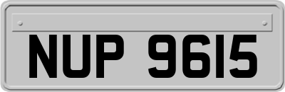 NUP9615