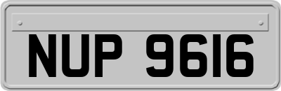 NUP9616