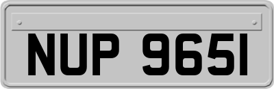 NUP9651
