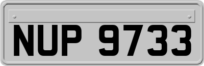 NUP9733