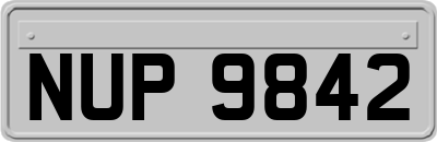 NUP9842