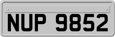 NUP9852