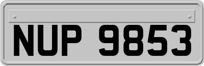 NUP9853