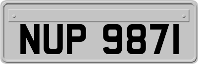 NUP9871