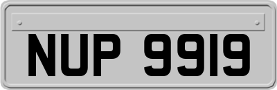 NUP9919
